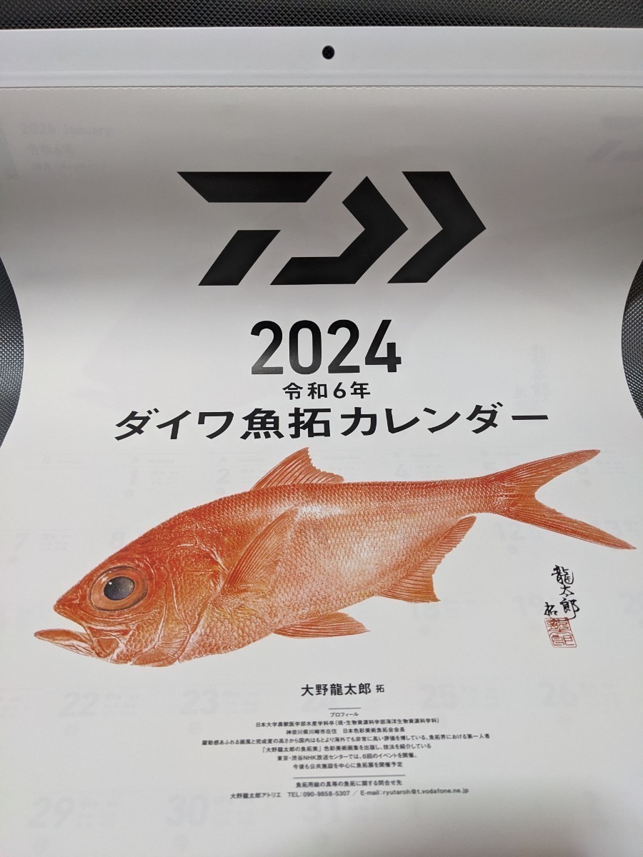 ダイワ　DAIWA　2024　魚拓カレンダー　令和6年　２本セット出品　フィッシングカレンダー　_画像2