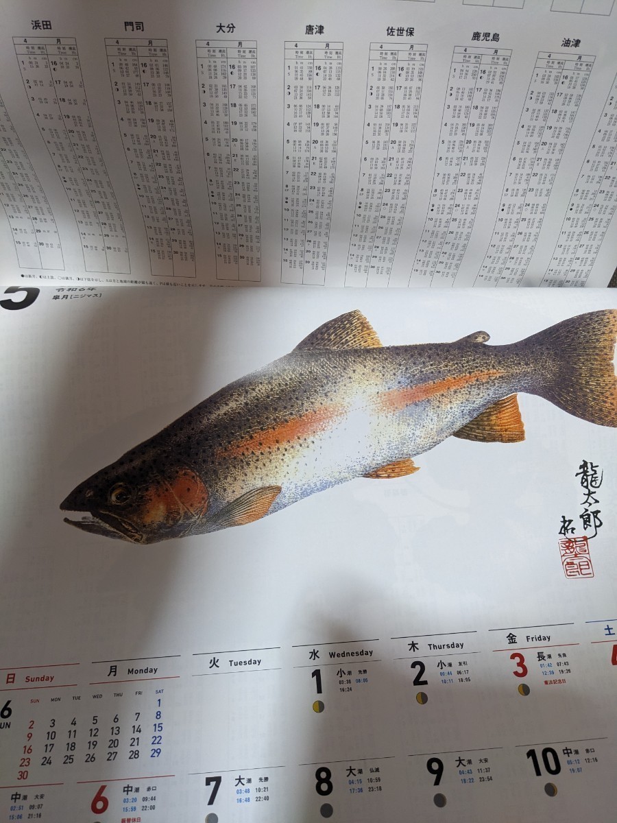 ダイワ　DAIWA　2024　魚拓カレンダー　定形外510円　令和6年　_画像4