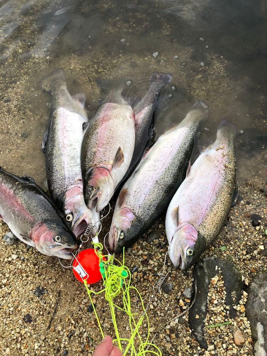 管釣りエリアモンスター ペレットルアー初心者でも大物が狙える　これより釣れるペレットルアーはないです