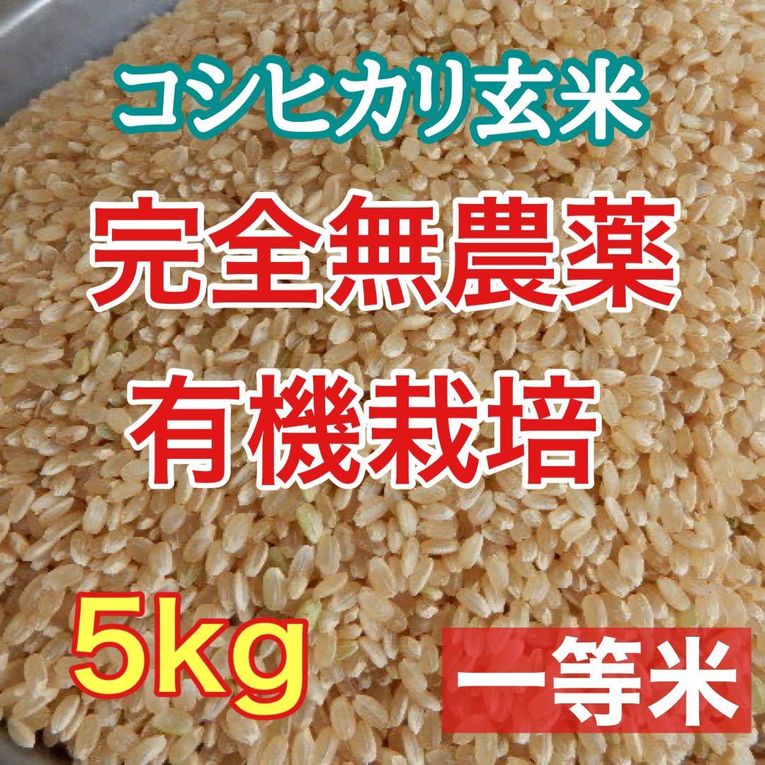 完全無農薬 有機栽培 5キロ『一等米』令和5年 新米 コシヒカリ 玄米　是非発芽玄米にして召し上がって下さい。精米 送料無料(*^^*)_画像1