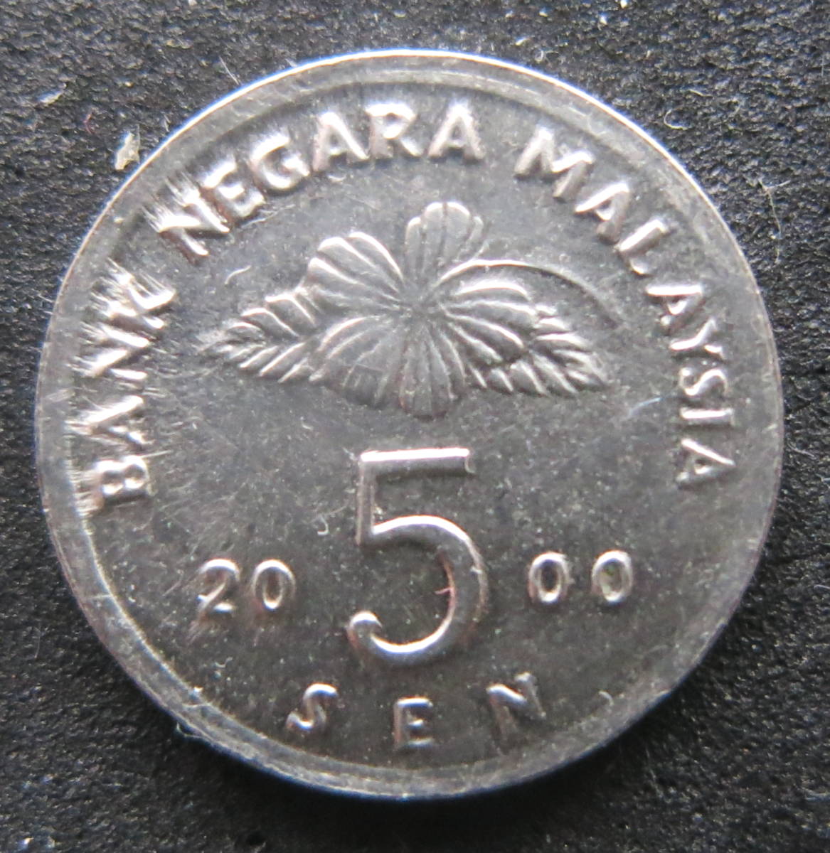 マレーシア　　５セント硬貨　2000年_画像1