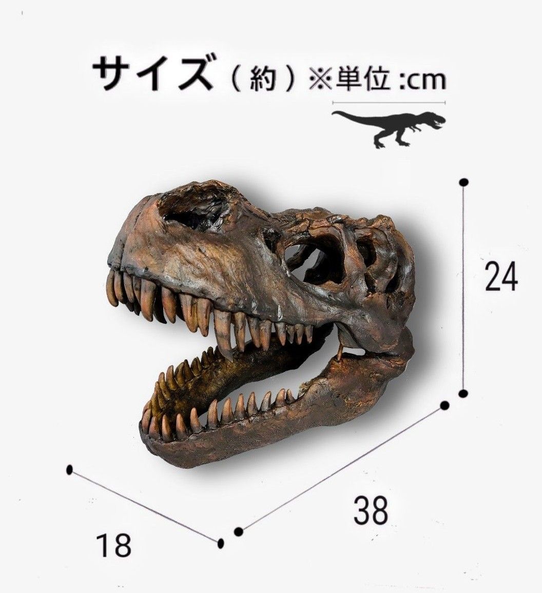 【DINOWORLD】 ティラノサウルス T-REX 頭骨 化石 トリケラトプス インテリアオブジェ Tyrannosaurs