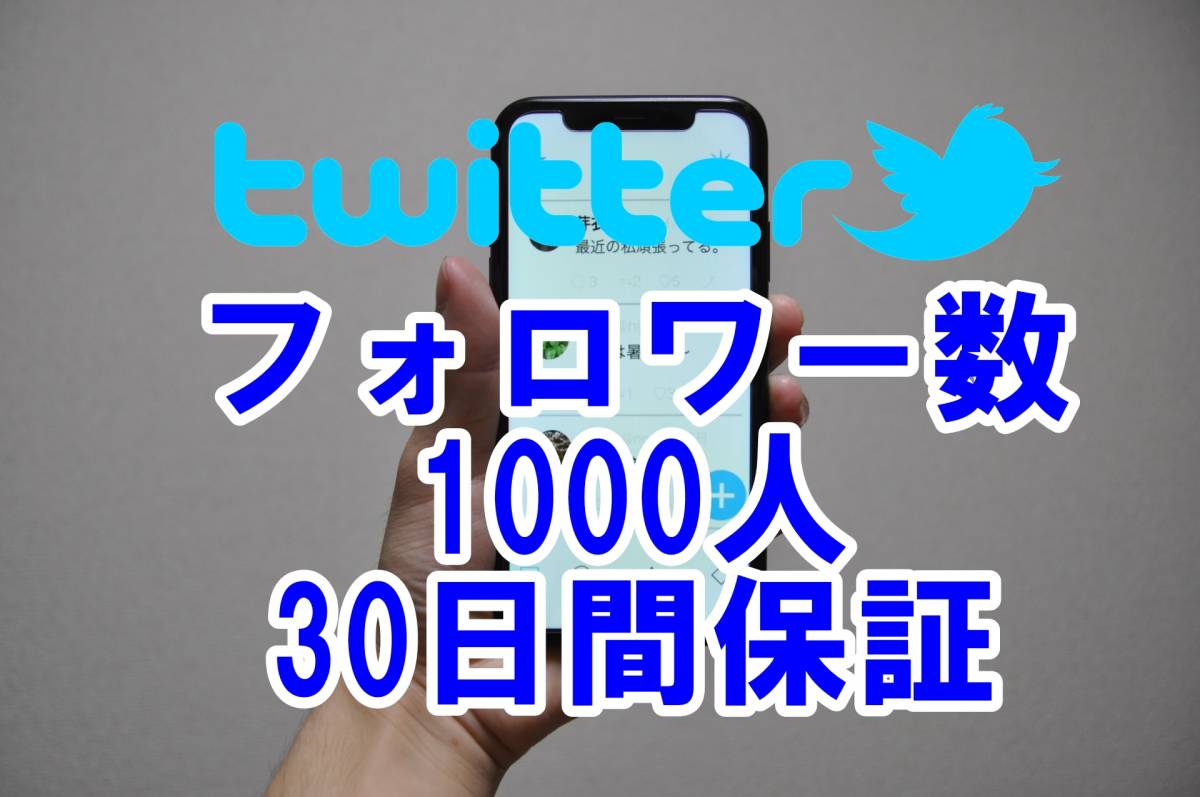 【おまけTwitter フォロワー増加 1000人 】 ユーチューブ 再生回数 増やせる自動増加ツール ツイッター 増加 外国人 登録者数 最高品質_画像1