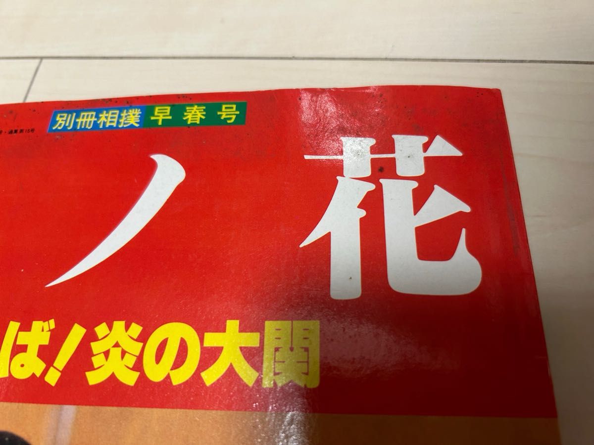 値下げ！別冊相撲早春号 貴ノ花 炎の大関 ベースボールマガジン社