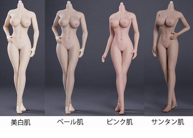 1/6スケール 女性フィギュア素体　シームレス　内鋼芯構造　自由自在なポージング　セクシーグラマラス　アクションフィギュア　12インチ_画像6