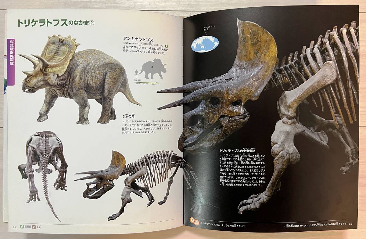 *.. company move illustrated reference book MOVE Move dinosaur letter pack post service shipping 
