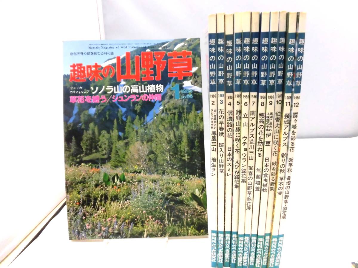 D6S　趣味の山野草　1986年（昭和61年年）全12冊揃い　栃の葉書房_画像1