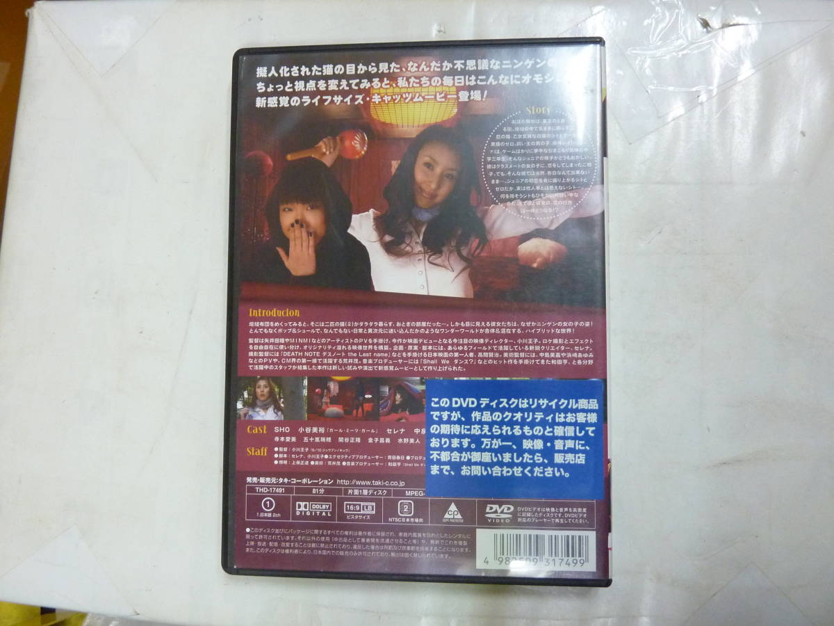 DVD[ 炬燵猫 コタツネコ ] 81分 送料無料_画像2