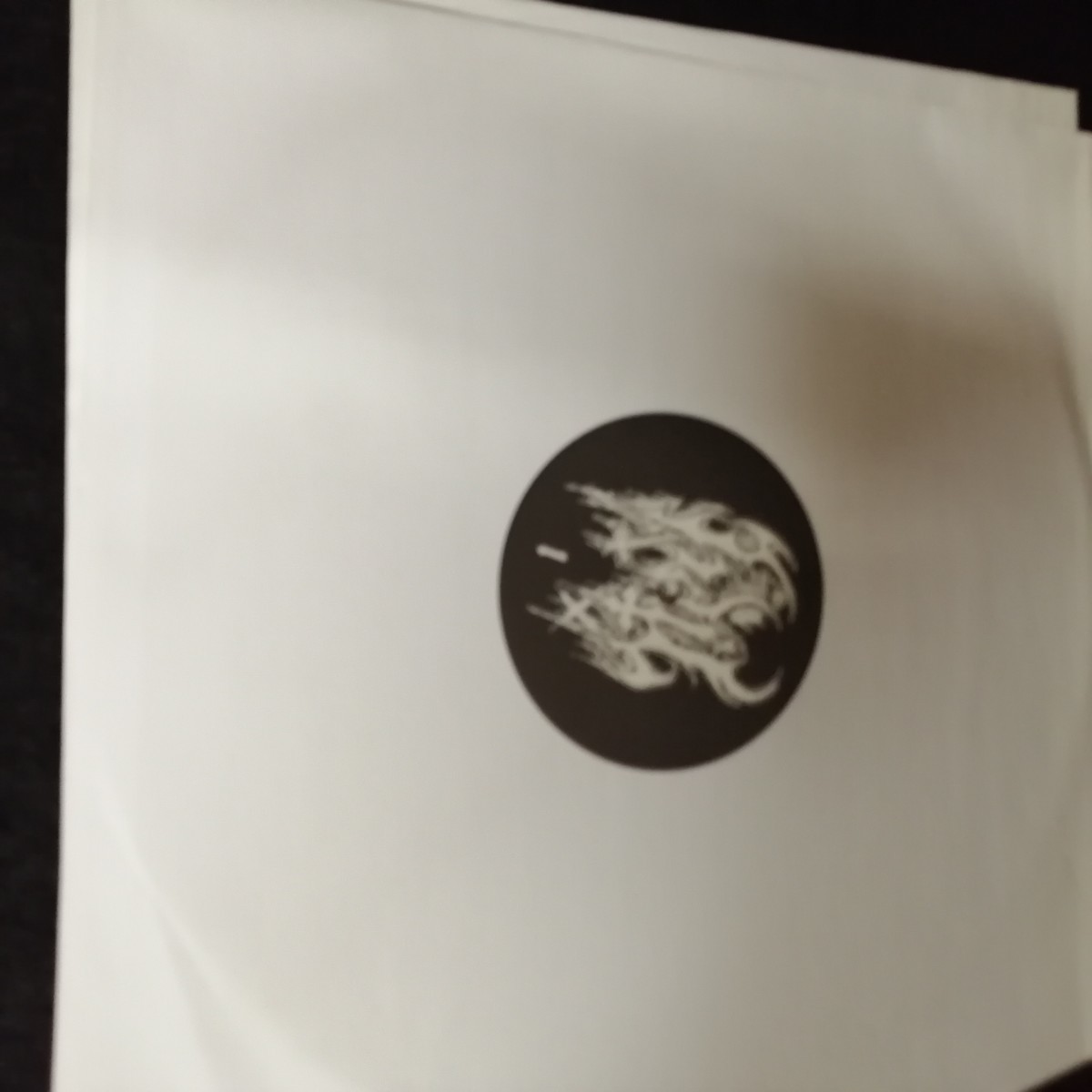 C12 中古LP 中古レコード　HAIL inheritance of evilness フィンランド　ブラックメタル　_画像5