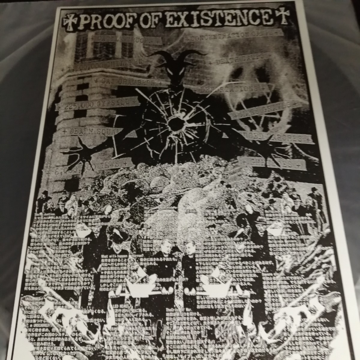 C12 中古LP 中古レコード PROOF OF EXISTENCE scriptural disaster PFC034 スウェーデン盤 日本のハードコアの画像3