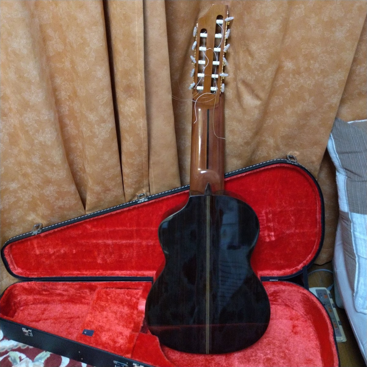 アストリアス 11弦ギター 専用ハードケース付き_画像5