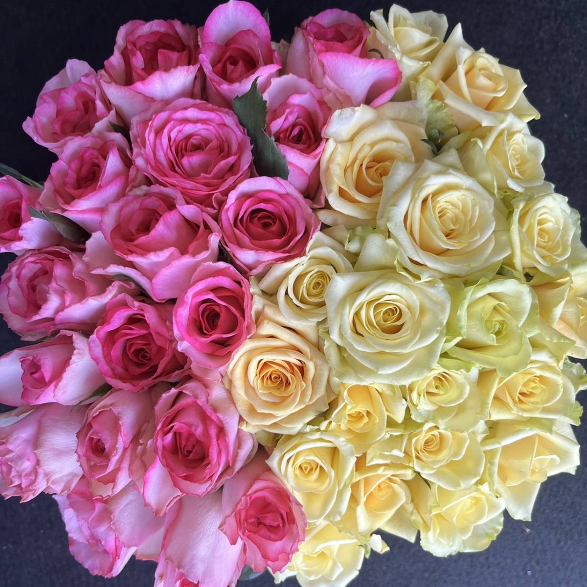  прямая поставка от производителя!! свежесть выдающийся! роза ( срезанные цветы * живые цветы )* розовый & желтый половина and половина * 30.SM размер 40шт.