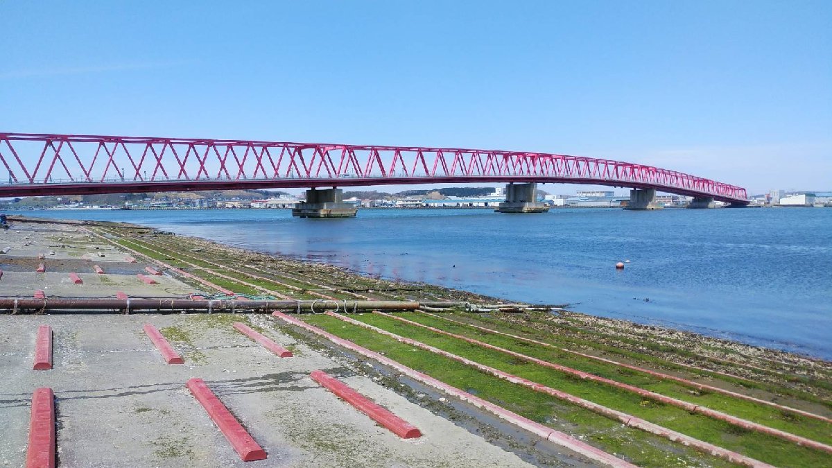 道東釧路の新鮮　厚岸産　大　殻付活牡蠣（130ｇ～150ｇ）30個 　生食可能_画像5