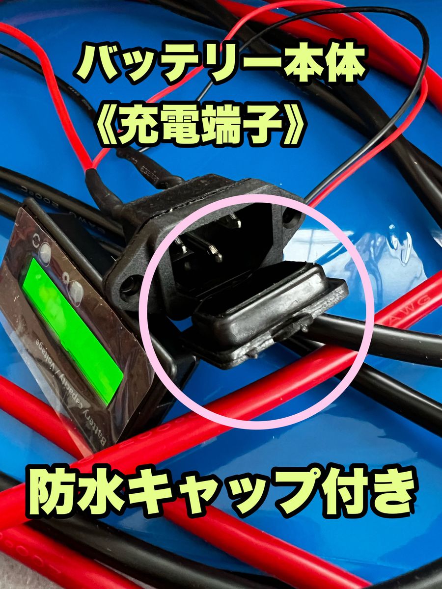 GTK 36v 80ah Lifepo4 ミンコタ モーターガイド ガーミン フットコン エレキ ツアー リチウム リチビー