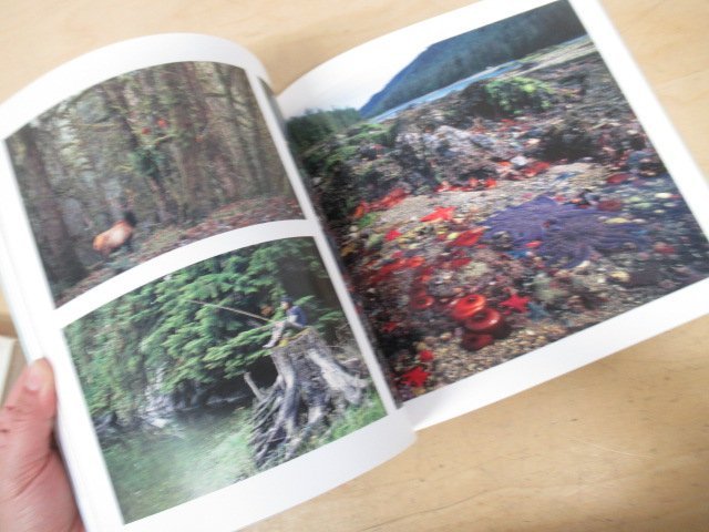 ◇K7216 図録「星野道夫 Alaska 星のような物語」2006年 風景 動物 写真集_画像6