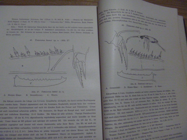 D < tail . pieces .* tail . pieces . synthesis .. investigation . research report -1954- > Japan ..... secondhand book old book 