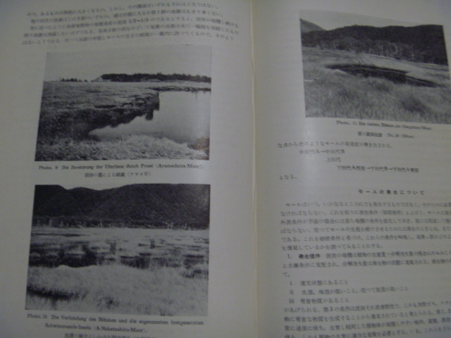 D ＜尾瀬ヶ原・尾瀬ヶ原総合学術調査団 研究報告 ー1954ー ＞　日本学術振興会 古本 古書_画像8