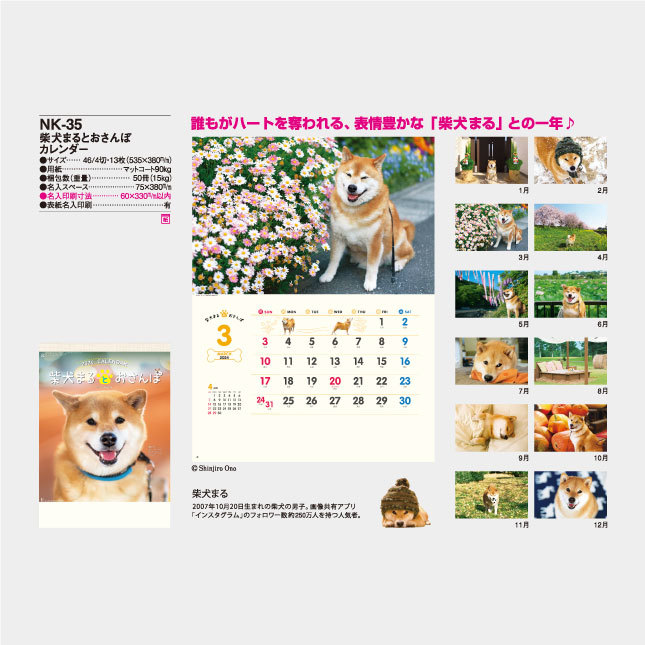 Ｎｅｗ2024年壁掛けカレンダー　柴犬まるとおさんぽ　NK35_画像2