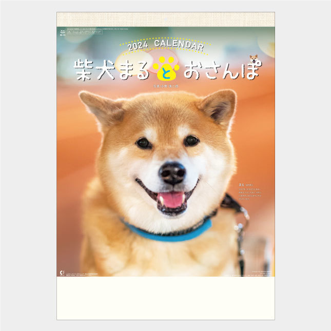 Ｎｅｗ2024年壁掛けカレンダー　柴犬まるとおさんぽ　NK35_画像1