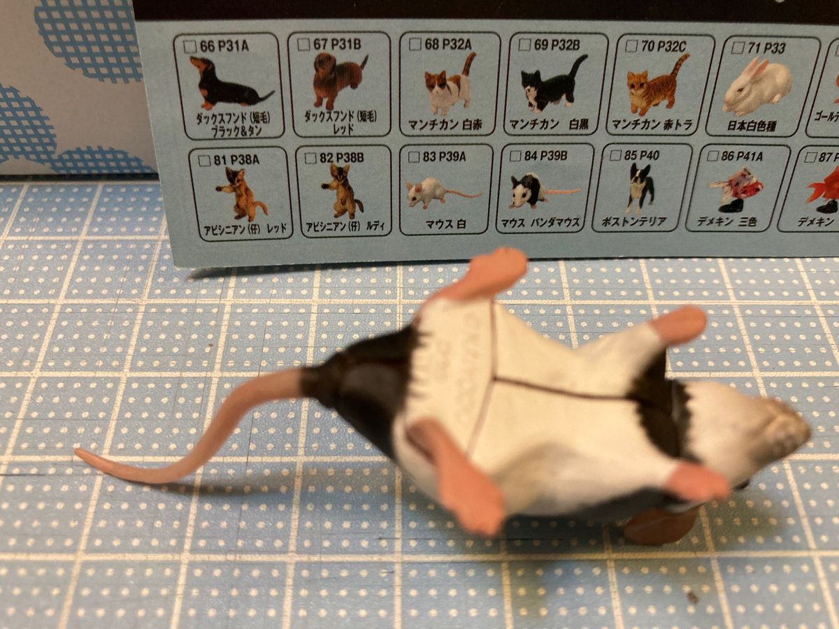 ChocoQ animatales/Pet animals Series 3 84 P395 マウス　パンダマウス　TAKARA