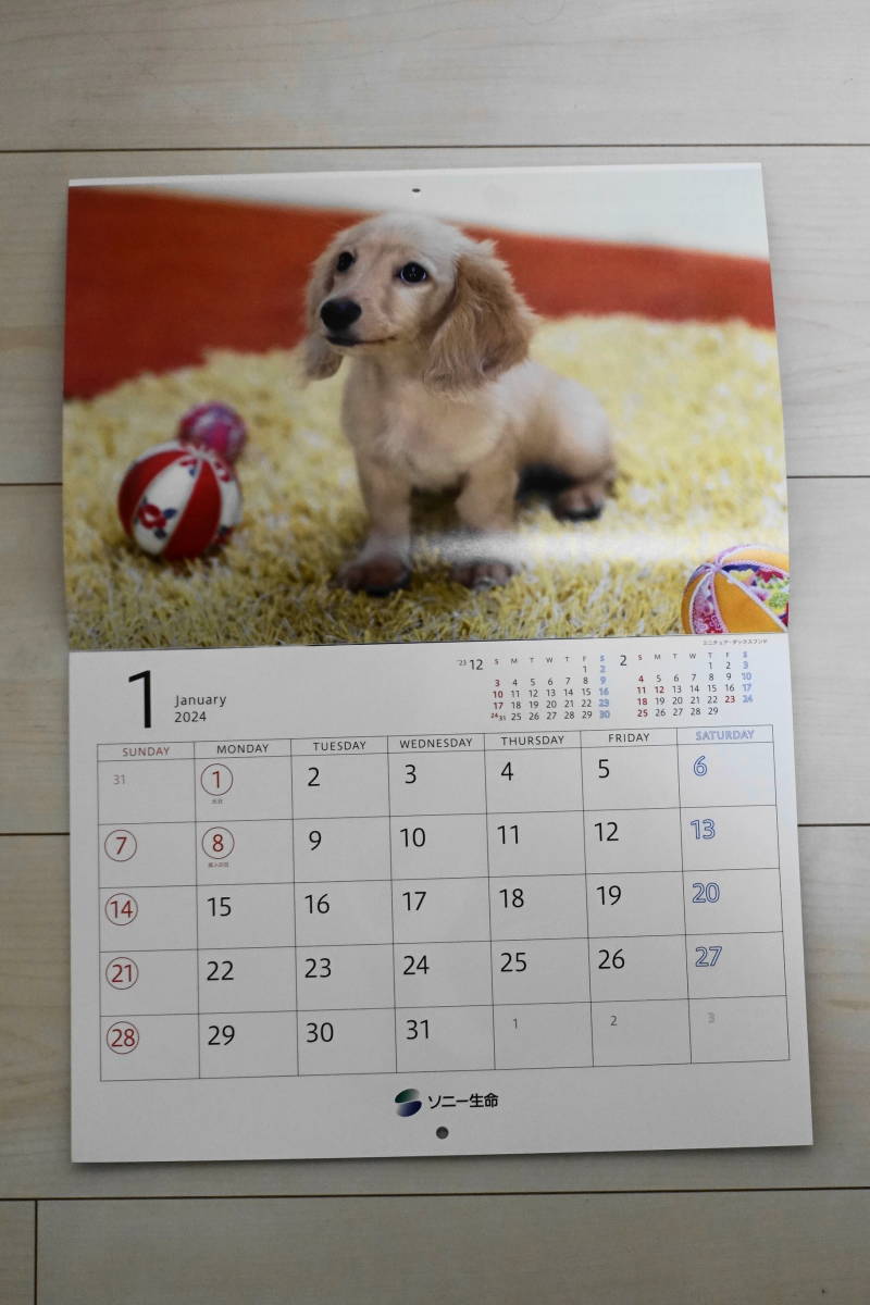 ２０２４年　ソニー生命　壁掛けカレンダー　■「ゆかいな子犬たち」　令和６年　犬　写真　新品　未使用品　DIARY ／CALENDAR／カレンダー_画像3