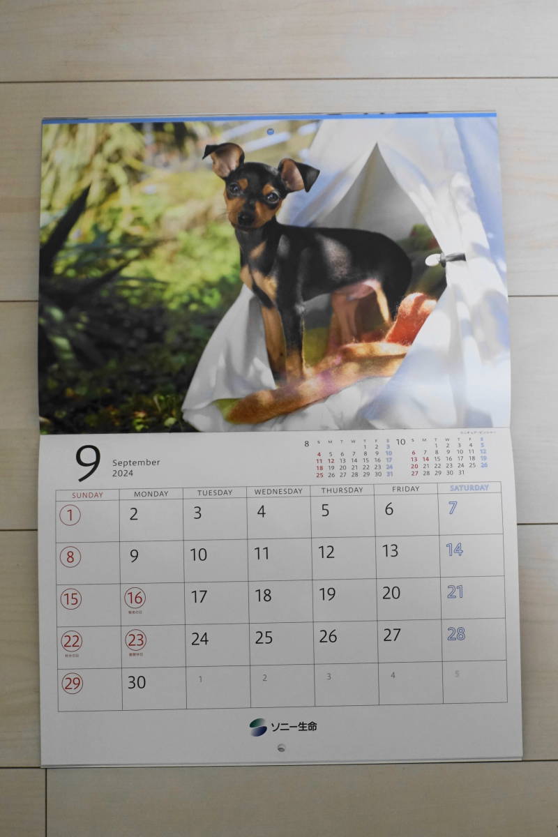 ２０２４年　ソニー生命　壁掛けカレンダー　■「ゆかいな子犬たち」　令和６年　犬　写真　新品　未使用品　DIARY ／CALENDAR／カレンダー_画像6