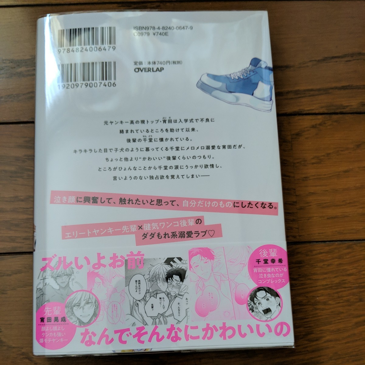 BL　涙も好きも、俺のもの　吉田くまこ　小冊子　リーフレット_画像2