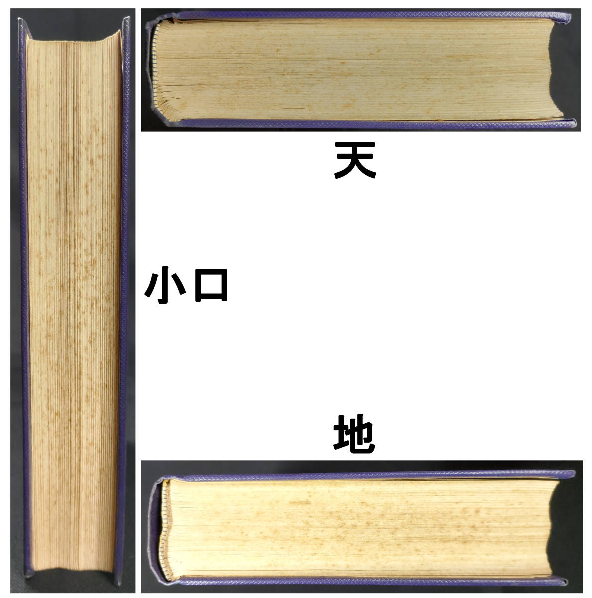 「日本経済革命史」　白柳秀湖著　昭和１５年　千倉書房発行_画像9