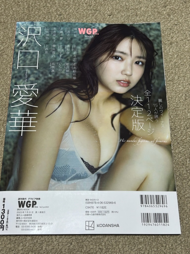 週刊現代グラビア別冊 WGPlus Vol.3 篠崎愛 DVD未開封 沢口愛華 川道 