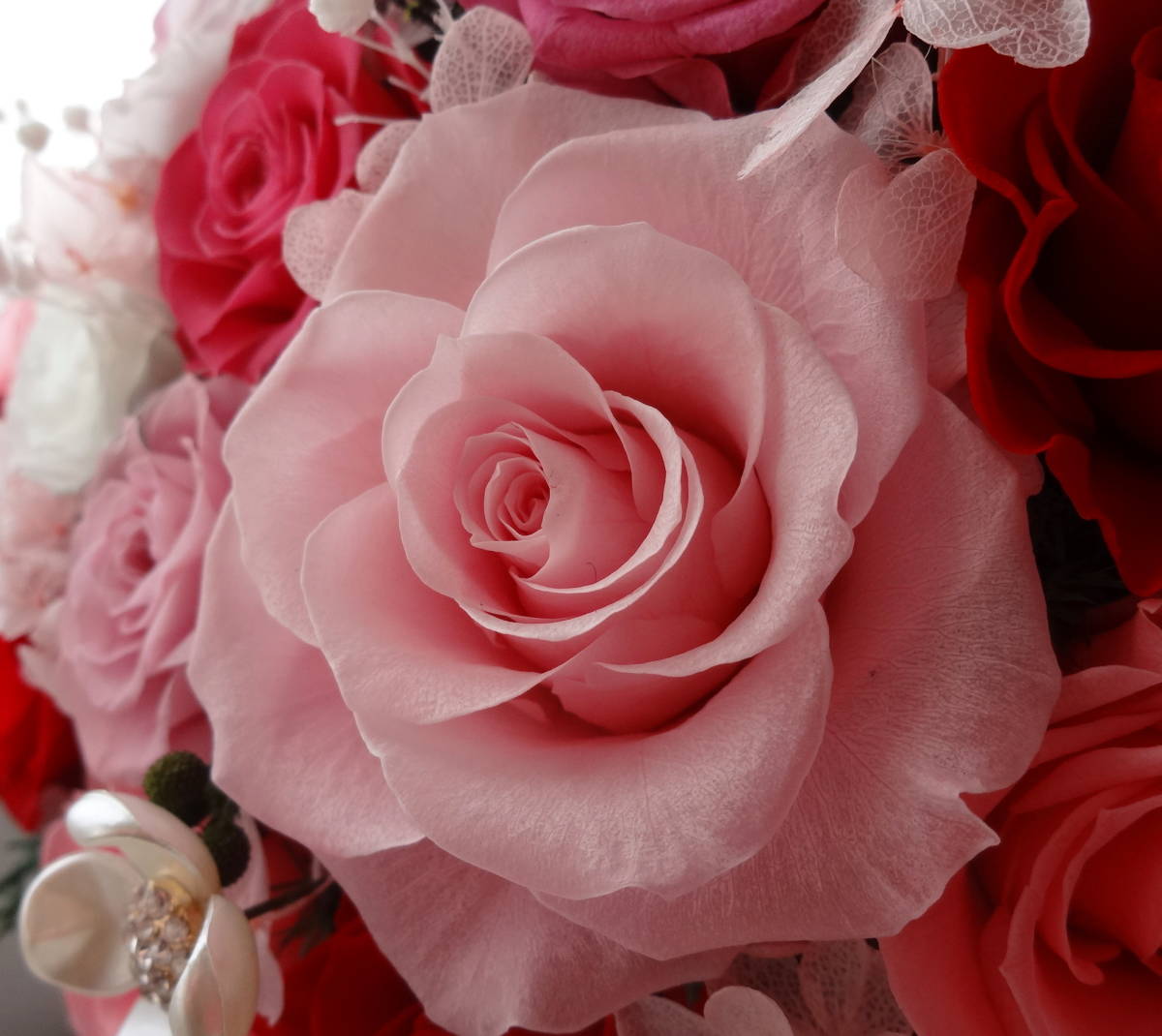 flower*60 колесо роскошный! высококлассный черный проигрыватель -to!8 вид : большой колесо свадебный розовый &k.-n красный роза консервированный цветок 