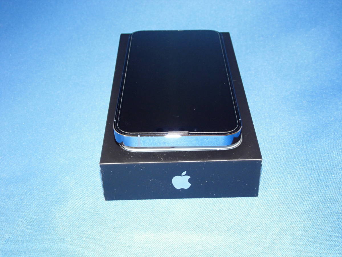 「iPhone 13 Pro 256GB Sierra Blue」SIMフリー アクセサリー多数付属 (IMEI2 353742333563344)_画像7