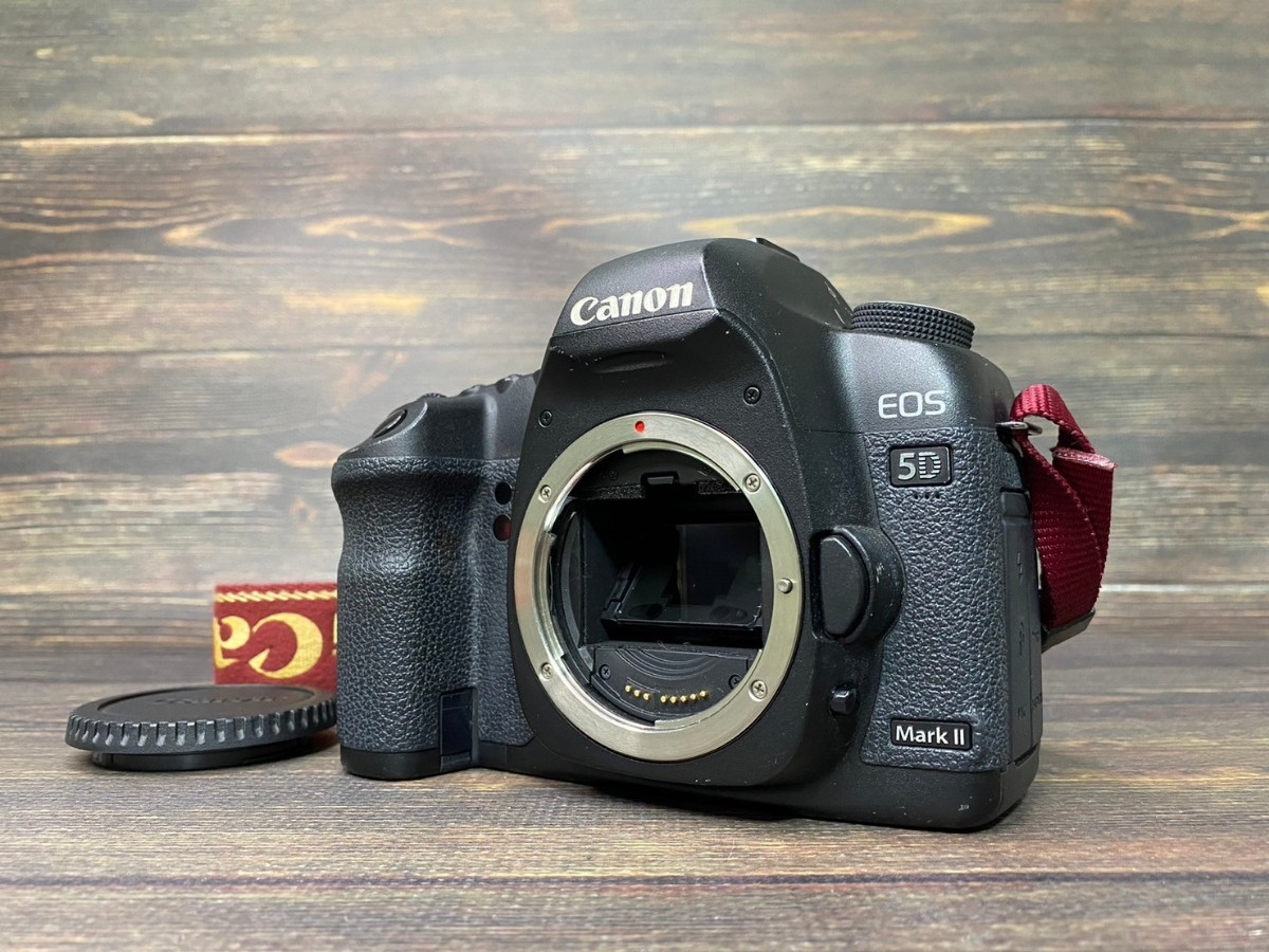Canon キヤノン EOS 5D Mark II ボディ デジタル一眼レフカメラ #9_画像1