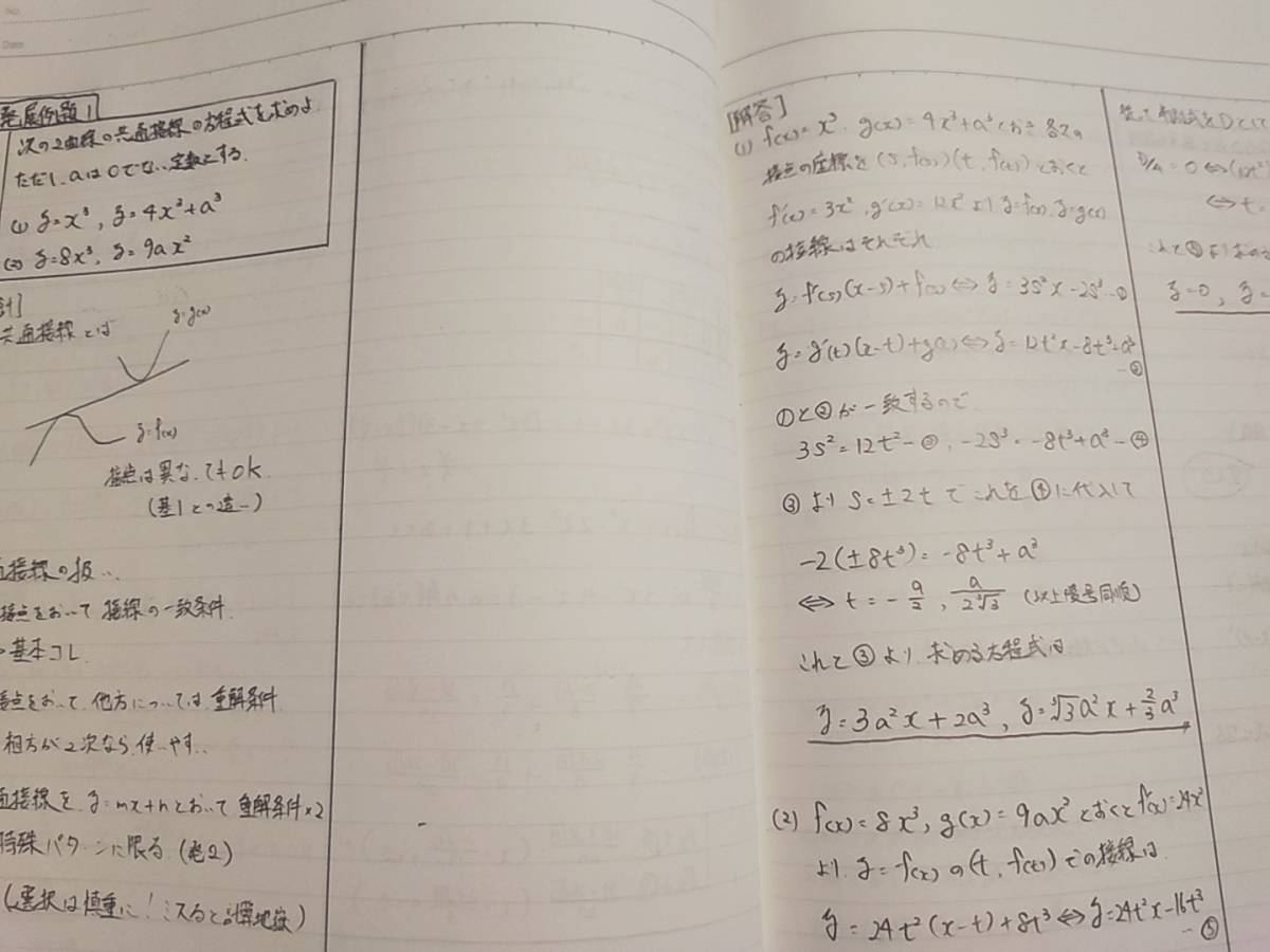 鉄緑会　数学発展講座　後期　板書問題ノート　柳沼先生　河合塾　駿台　京大　共通テスト　Z会　東進　SEG