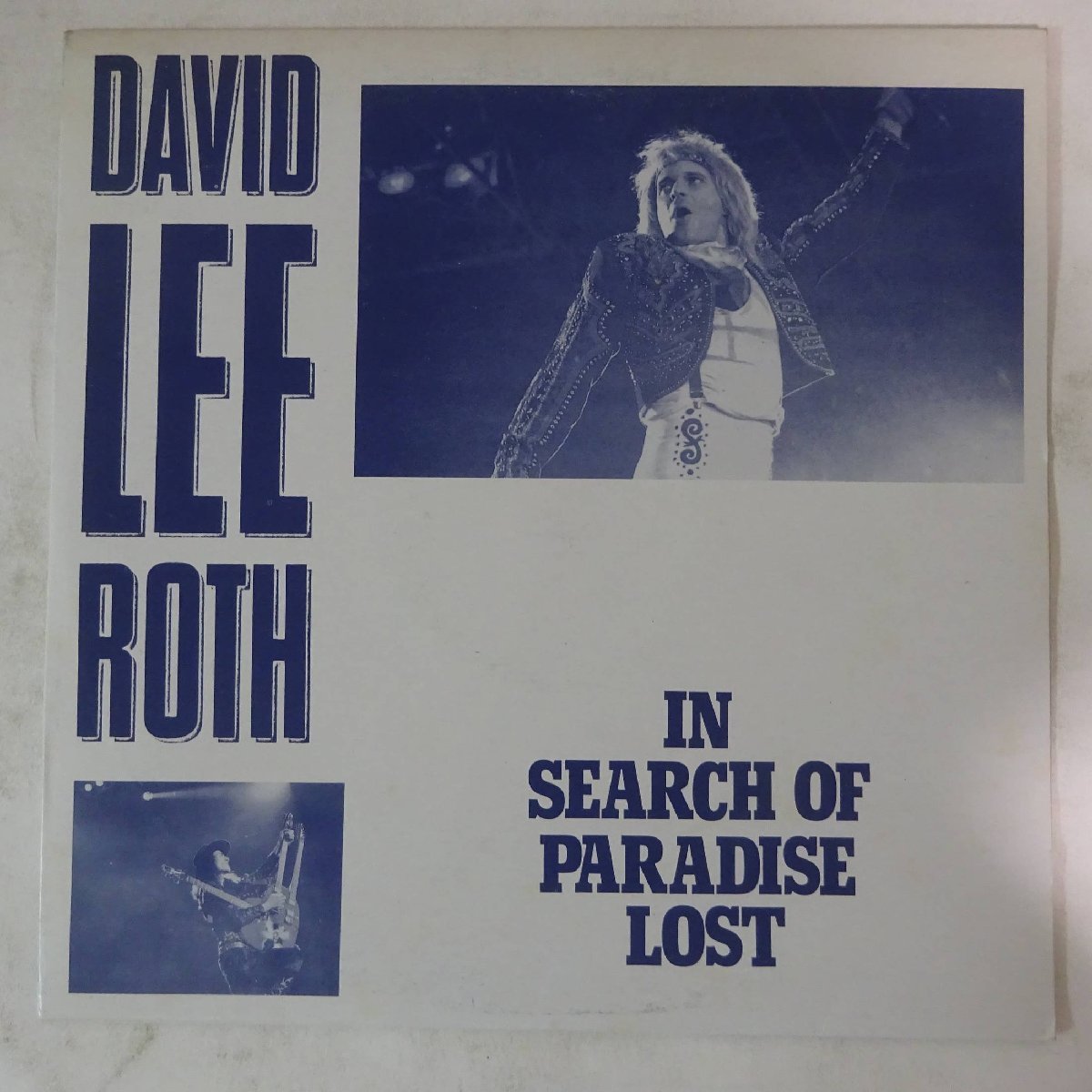 11175864;【BOOT/2LP】David Lee Roth / In Search Of Paradise Lost_画像1