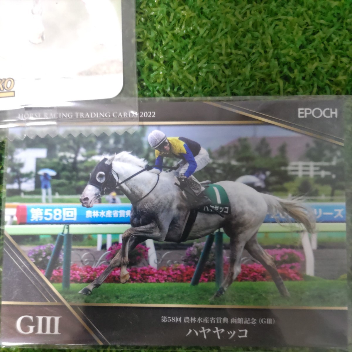 競馬　白毛馬　ハヤヤッコ　カードコレクション　レパードステークス優勝　函館記念優勝　シラユキヒメ　白毛馬ファミリー　二刀流　ウマ娘_画像4