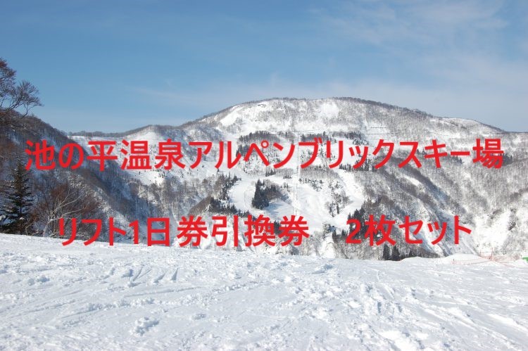 DK121803☆池の平温泉アルペンブリックスキー場　リフト1日券引換券　2枚セット　1-4個_画像1