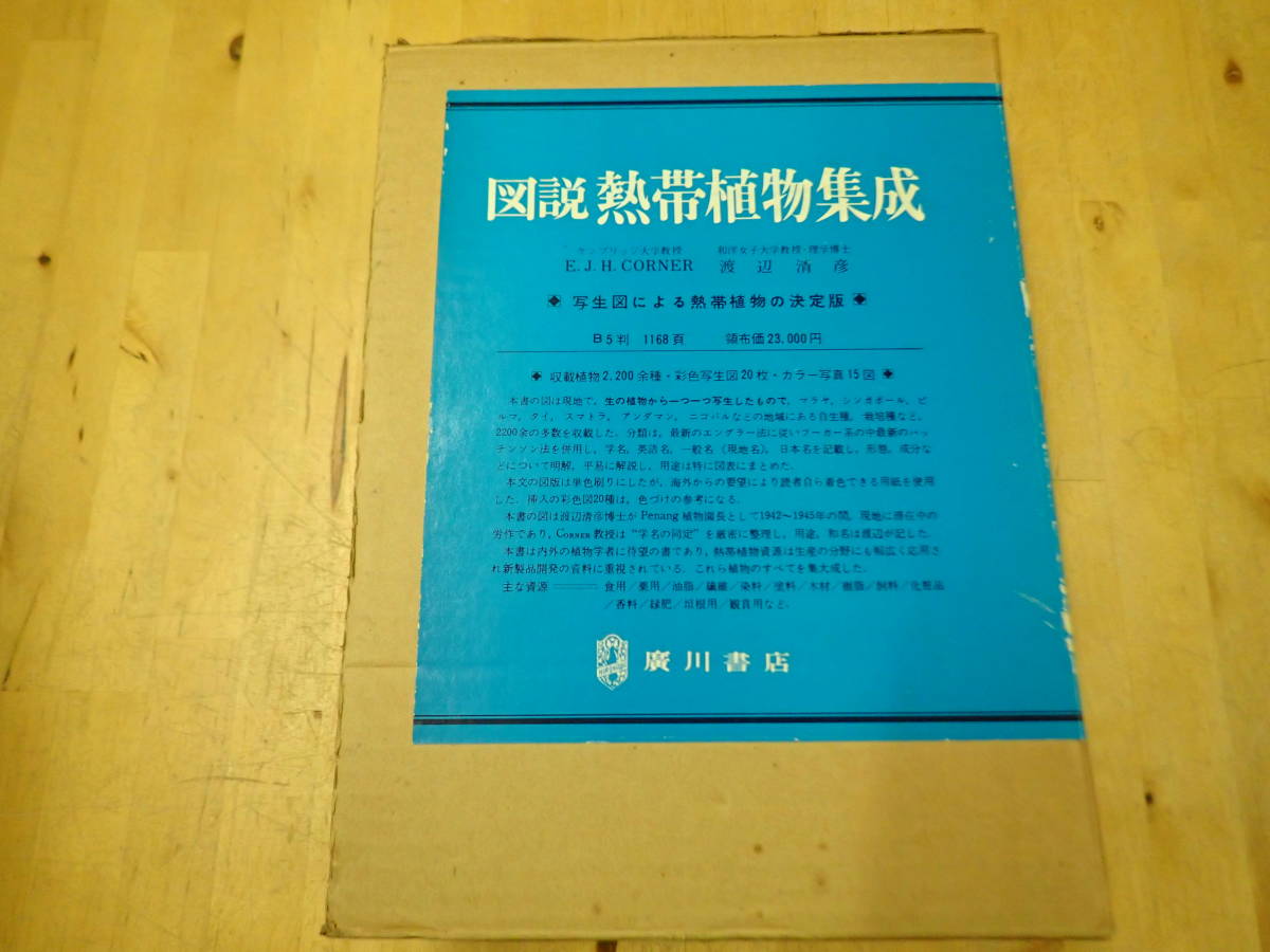 [B28C1] map мнение . obi растения сборник .. река книжный магазин . сырой map по причине . obi растения. решение версия / собственный сырой вид / культивирование вид /E.J.H CORNER Watanabe Kiyoshi . map таблица изучение . человек предназначенный лексика иллюстрированная книга 