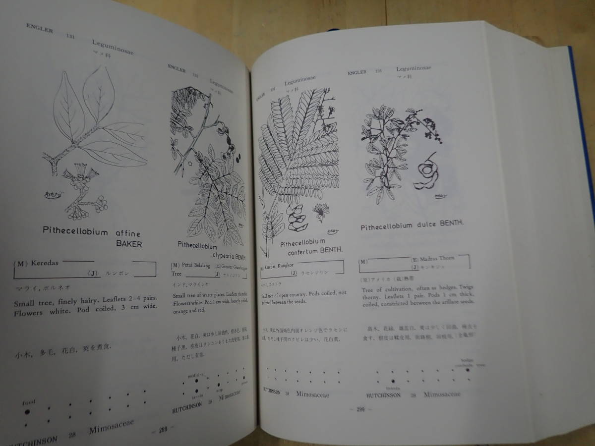 [B28C1] map opinion . obi plant compilation .. river bookstore . raw map because of . obi plant. decision version / self raw kind / cultivation kind /E.J.H CORNER Watanabe Kiyoshi . map table research . person oriented lexicon illustrated reference book 