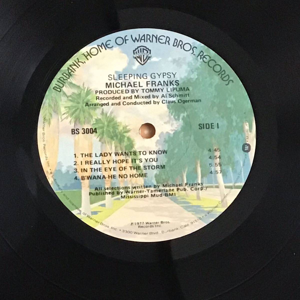 US盤 LP / Michael Franks / Sleeping Gypsy /Warner Bros. Records BS 3004_画像5