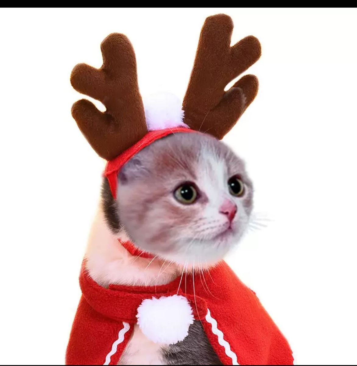 ペット コスプレ 服 帽子 トナカイ サンタ マント マフラー 4点セット クリスマス 犬 猫 アクセサリー かわいいコスチューム