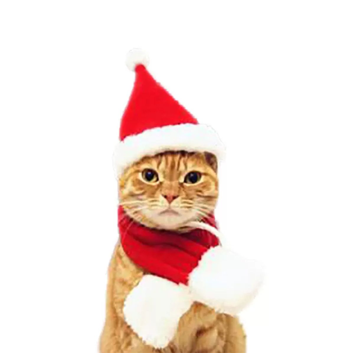 ペット コスプレ 服 帽子 トナカイ サンタ マント マフラー 4点セット クリスマス 犬 猫 アクセサリー かわいいコスチューム