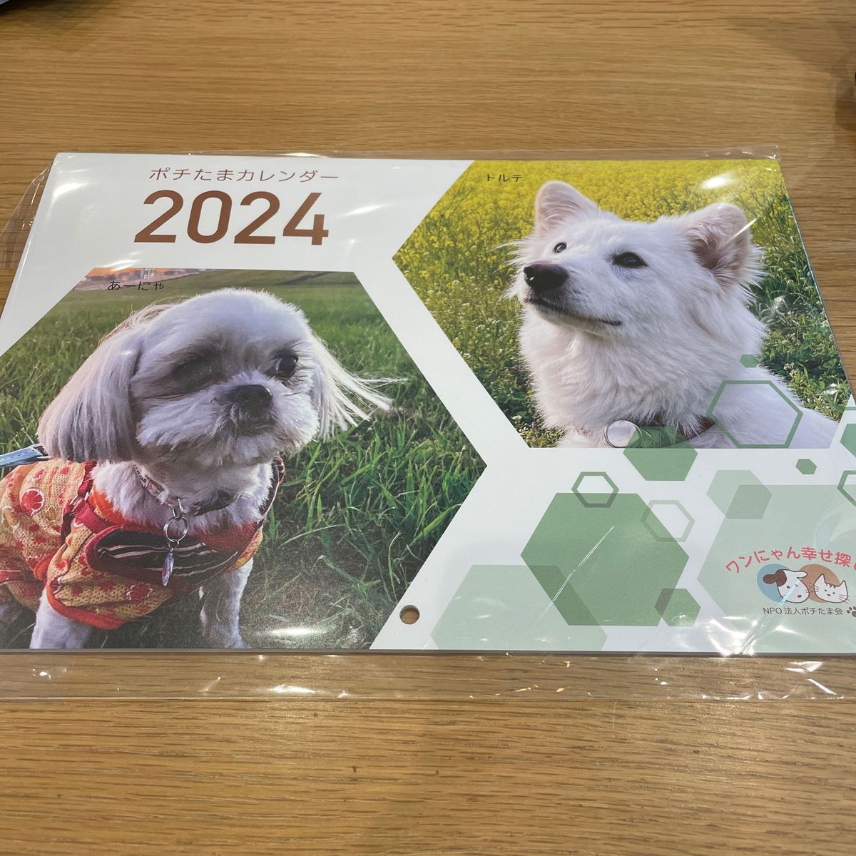 【限定品・非売品】犬のカレンダー2024