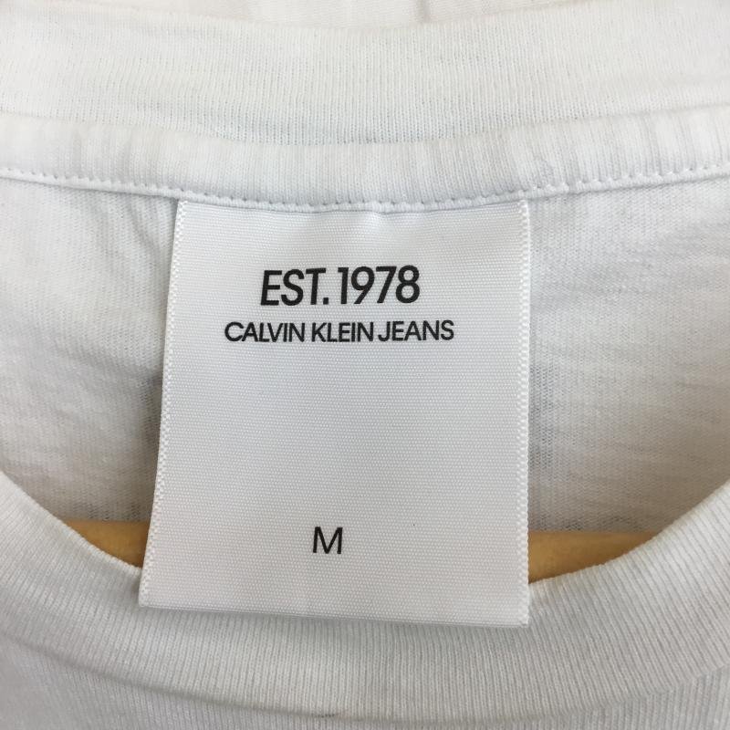 Calvin Klein M カルバン・クライン Tシャツ 半袖 Raf Simons期 ラフシモンズ　Andy Warhol アンディ・ウォーホル T Shirt 10091836_画像8