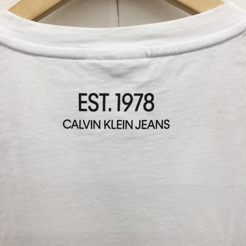 Calvin Klein M カルバン・クライン Tシャツ 半袖 Raf Simons期 ラフシモンズ　Andy Warhol アンディ・ウォーホル T Shirt 10091836_画像4