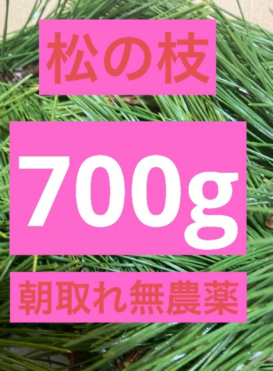 即購入可　即日発送　岡山県　黒松　枝付き松葉　生葉　無農薬　松の葉