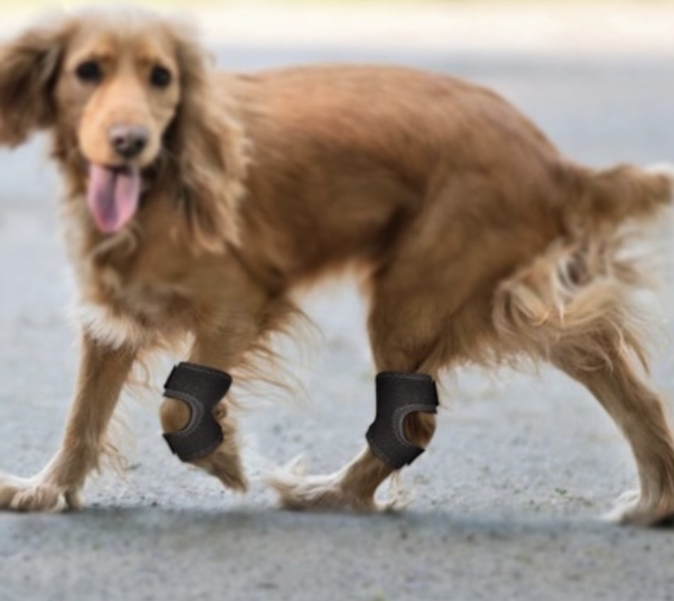 ①【犬用膝サポーター 】Sサイズ ※片足1枚 関節痛 傷口カバー