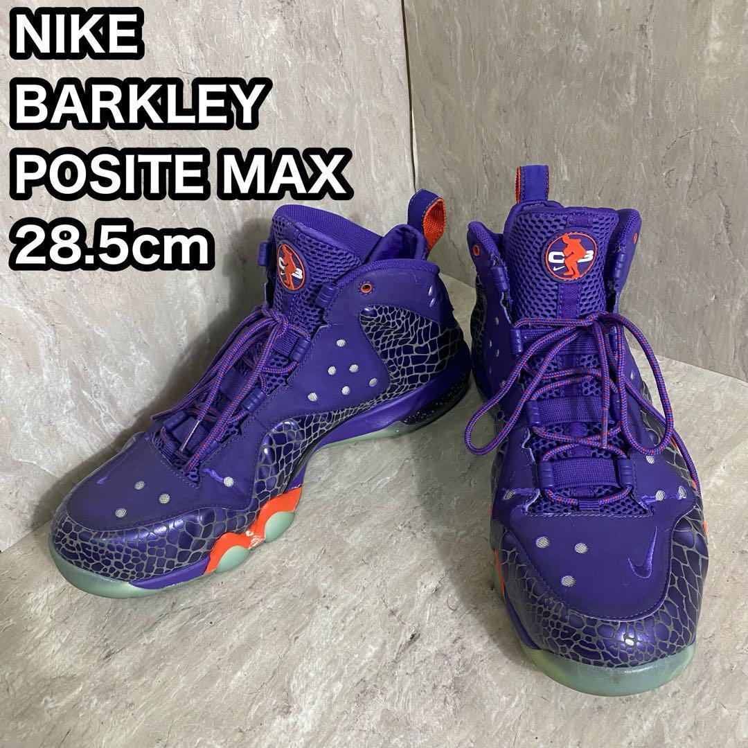 NIKE BARKLEY POSITE MAX　ナイキ NBA 28.5cm　ジョーダン　jordan　エアマックス　airmax　ポジット　dunk　ダンク