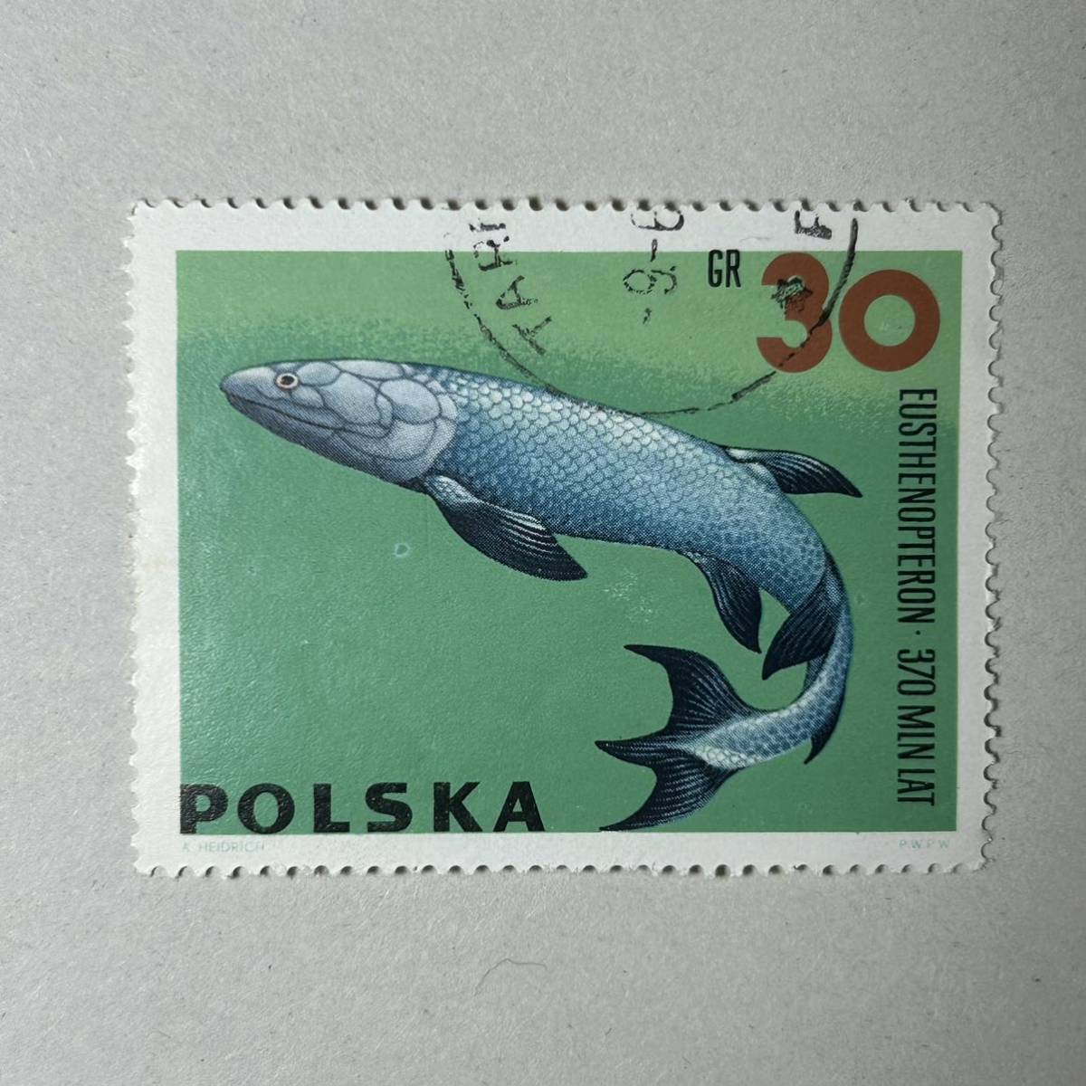 恐竜 動物シリーズ ポーランドの動物切手　1966 ポスト スタンプの先史時代の魚のディニクティス 古生物学の魚の切手 切手_画像6