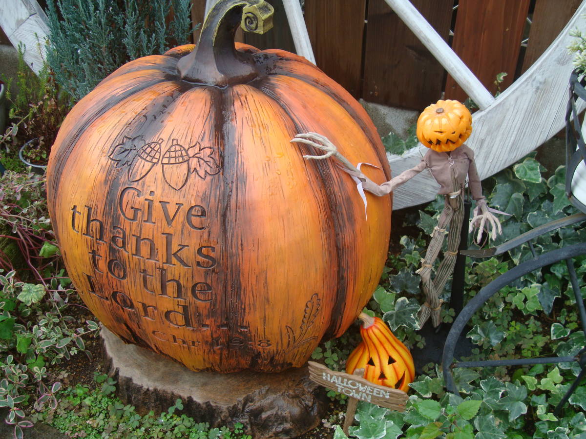 ( unused ) Halloween extra-large pumpkin ornament gardening objet d'art 