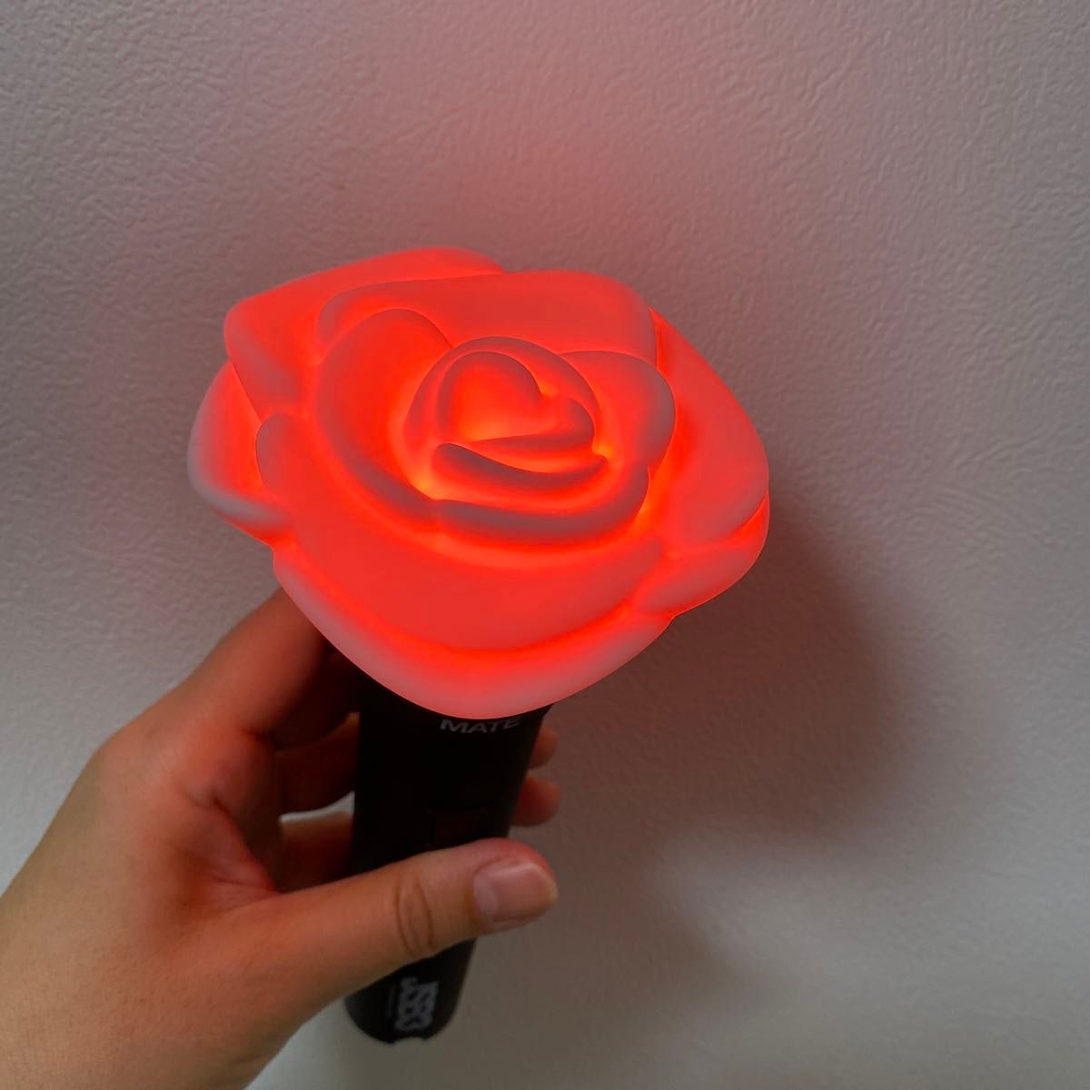 三代目　JSBLAND ペンライト　グッズ　EXILE 電池付き　バラ　薔薇　ライト